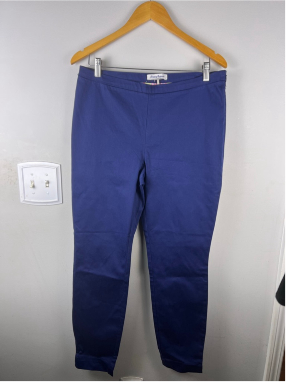 Tommy Bahama Womens Blue Ankle Pants Size 10 Stretch Cotton Tencel Slim Work